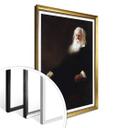 Póster - Alexander - Walt Whitman