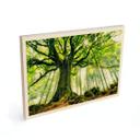 Cuadro de madera bosque de cuento - Kiciak