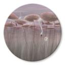 Glasschilderijen Lotusbloemen met zwaan in water in donkerroze - Ms Tiff - Rond