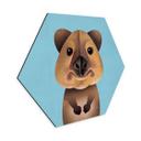 Hexagon Dibond Braun - Quokka