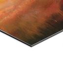 Billede af efterårslandskab i aftenlys - Schmucker – print på aluminium (Alu-Dibond)