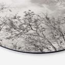 Tableau en alu-Dibond Cimes des arbes dans le ciel - Rond