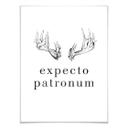 Póster - Expecto Patronum