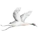 Wallsticker med flyvende trane - Kvilis