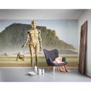 Vlies Fototapete - Star Wars Classic RMQ Droids - 500 x 250 cm