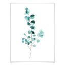 Poster Goed Blauw - Das Eucalyptusblatt