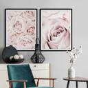 Plakat - 1X Studio - Rose
