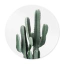Póster planta de cactus - Sisi & Seb - Redondo