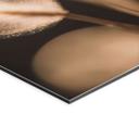 Billede Boho-græsser i gyldent lys - Aluminium Dibond - Treechild – print på aluminium (Alu-Dibond)