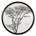 Póster Árbol minimalista en un paisaje tranquilo - Harina - Redondo