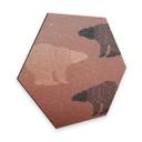Hexagon - Alu-Dibond koper effect - Ijsberen