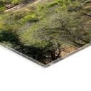Acrylglas afbeelding Savanne landschap in Afrika - Hugonnard