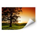 Zelfklevende Poster - Sunset at the Lake