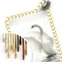 Poster - Cygne majestueux
