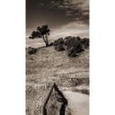 Papier peint photo Paysage à Hiddensee - 144x260 cm