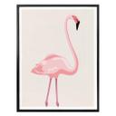 Plakat - Flamingo 01