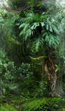 Tapet Fototapet junglemotiv grøn,Blomst 2,70 x 1,59 m
