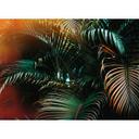 fototapet designvægge i grønt og gult non-woven tapet Jungle Colour regnskov natur
