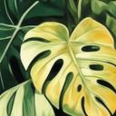 Urban Jungle - Jungleplanter - Fototapet fra Jaszke
