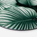 Tableau sur alu-Dibond rond Urban Jungle - Calathea Orbifolia
