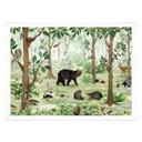 Póster Kikki Belle - Imagen de búsqueda en el bosque