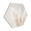 Hexagone - Alu-Dibond 1X Studio - Herbes de la Pampa