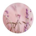 Póster Delicate Lavender - Redondo