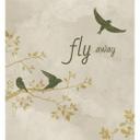 Fototapet - Fly away