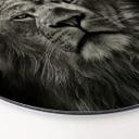 Tableau en Alu-Dibond Lion - Rond