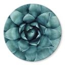 Plateau de table en verre - Agave 02 - Rond