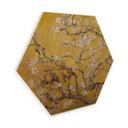 Hexagone - Bois van Gogh - Amandier en fleurs jaune