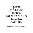Wallsticker -  Livet ma leves...