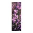 Póster de tela floral - Flor de brezo púrpura con luz cálida - Annie - Panorama