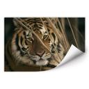 Poster autocollant - W - NG Tigre