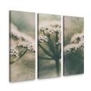 Canvasbillede - Davidsson - White Flowers (sæt med 3)