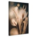 Lienzo Boho grasses in golden light - Treechild
