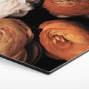 Hexagone - alu-Dibond FiguraNYC Photographie - Renoncule