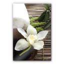 Tableau en verre acrylique - Wellness Orchidee