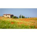 Fototapet - Toscana
