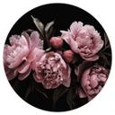 Vinilo decorativo rosa peonía - Haase - Redondo