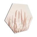 Hexagon Dibond Grass at Sea
