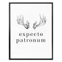 Póster - Expecto Patronum