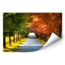 Muurprints Herfst
