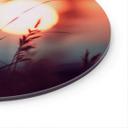 Glasbillede - Græsser i lyset af den glødende sol - Treechild - Rund