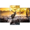 3 stykke lærredsprint, Deer Forest Sunset