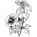 Muursticker Planten Silhouet