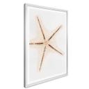 Plakat - Hugonnard - White Starfish