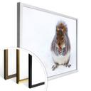 Póster - Ardilla 04