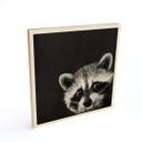 Cuadro de madera Graves - Racoon - Cuadrado