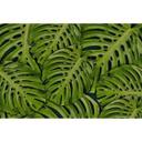 Møbelfolie Grønne monstera-blade